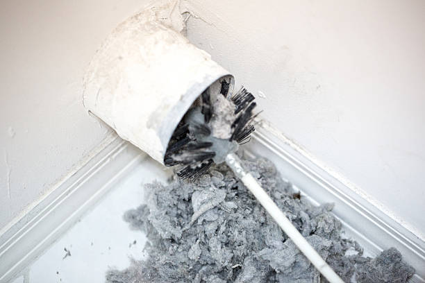 Best Duct Cleaning for Homes  in Freeport, TX